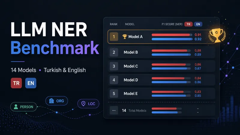 NER LLM Benchmark Görseli